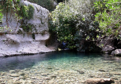 Agenzia/operatore Turistico Escursioni Camminasicilia